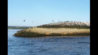 For 50 years, a shipwreck has been abandoned and decaying on the UK coast, shrouded in mystery.