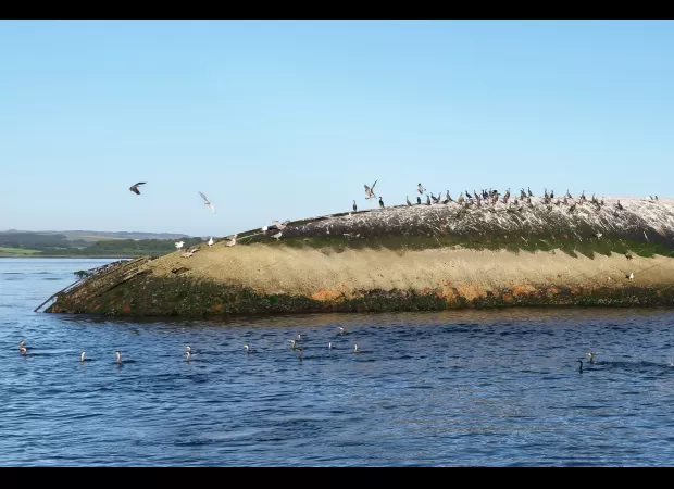 For 50 years, a shipwreck has been abandoned and decaying on the UK coast, shrouded in mystery.