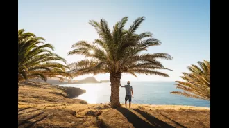 Fly to the beautiful island of Madeira this spring for as low as £68 per flight.
