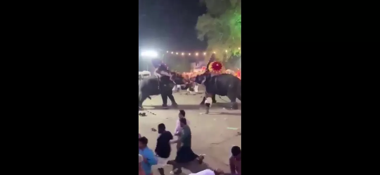 A festival is disrupted when giant elephants go on a rampage, causing chaos among the crowd.