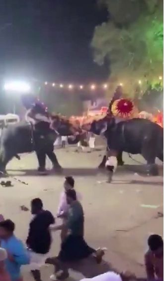 A festival is disrupted when giant elephants go on a rampage, causing chaos among the crowd.