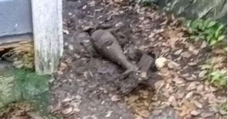 A dog's backyard digging uncovers an old, unexploded military bomb after several years.