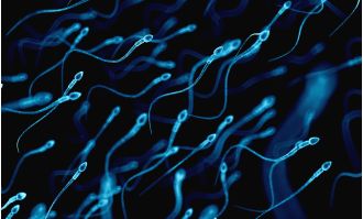 Male fertility is declining and we may have discovered the reason behind it.