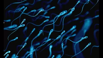 Male fertility is declining and we may have discovered the reason behind it.
