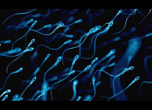 Male fertility is declining and we may have discovered the reason behind it.