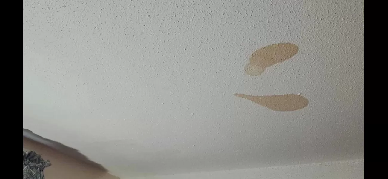 A mother was shocked to discover the cause of recurring brown stains on her ceiling.