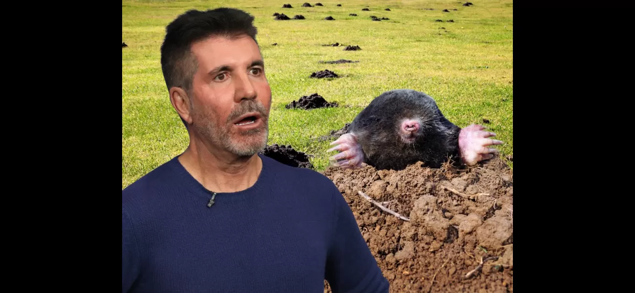 Simon Cowell's £8 million mansion is being invaded by moles.