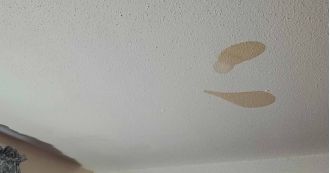 A mother was shocked to discover the cause of recurring brown stains on her ceiling.
