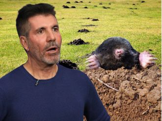 Simon Cowell's £8 million mansion is being invaded by moles.