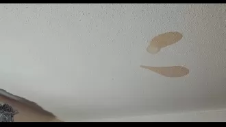 A mother was shocked to discover the cause of recurring brown stains on her ceiling.