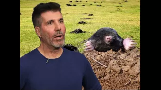 Simon Cowell's £8 million mansion is being invaded by moles.
