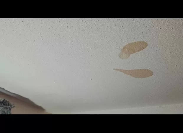 A mother was shocked to discover the cause of recurring brown stains on her ceiling.