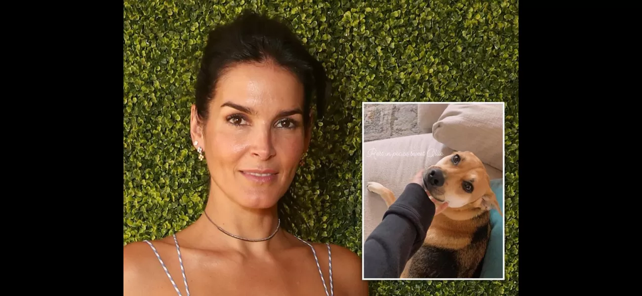 Celebrity emotionally scarred by dog's death at hands of delivery person
