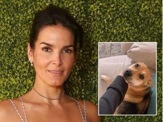 Celebrity emotionally scarred by dog's death at hands of delivery person