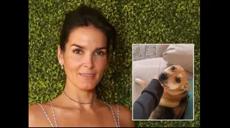 Celebrity emotionally scarred by dog's death at hands of delivery person