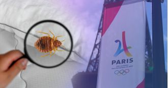 Bedbugs could become a problem in Britain due to the Paris Olympics.