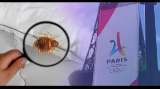 Bedbugs could become a problem in Britain due to the Paris Olympics.