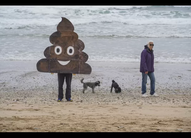 Politicians failing to address sewage crisis effectively.