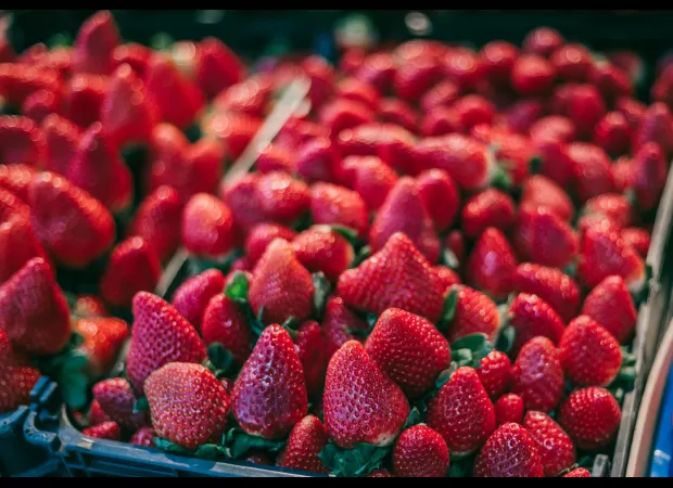 Concerns about dangerous 'forever chemicals' present in produce and their potential link to cancer.