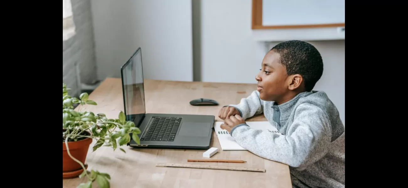 A father and son are hosting an online summer camp to educate others on finance and investing.