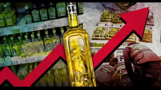 Criminal gangs are profiting from inflated olive oil costs.
