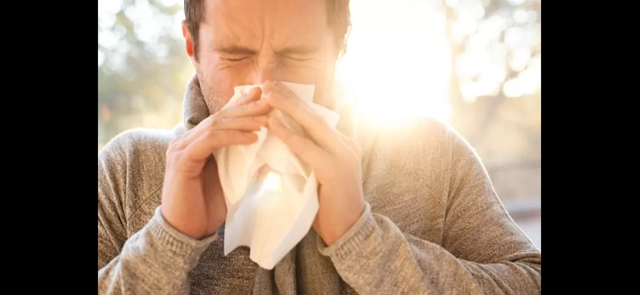 Get advice from experts on how to alleviate hay fever symptoms during the peak of pollen season.