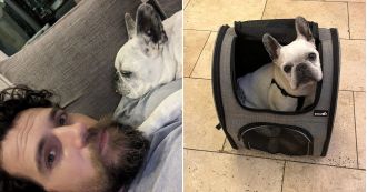 Famous actor pays tribute to his deceased dog on the anniversary of its passing.