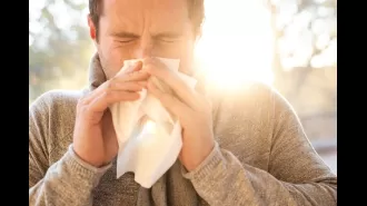Get advice from experts on how to alleviate hay fever symptoms during the peak of pollen season.