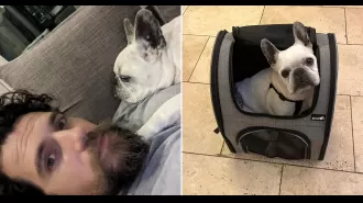 Famous actor pays tribute to his deceased dog on the anniversary of its passing.