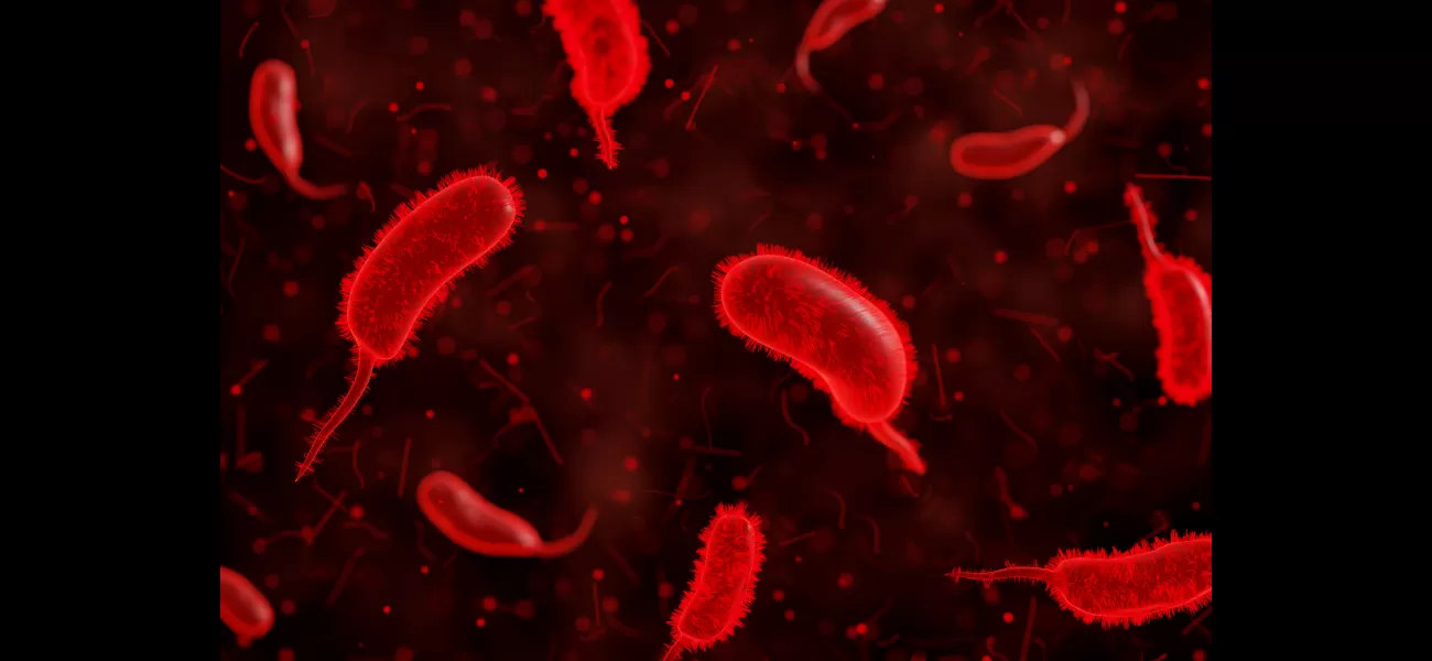 Killer bacteria hunt and devour human blood.