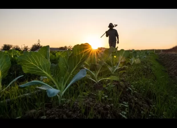 Philip Cobbs wants to protect his family's 600-acre farmland in Virginia for future generations.