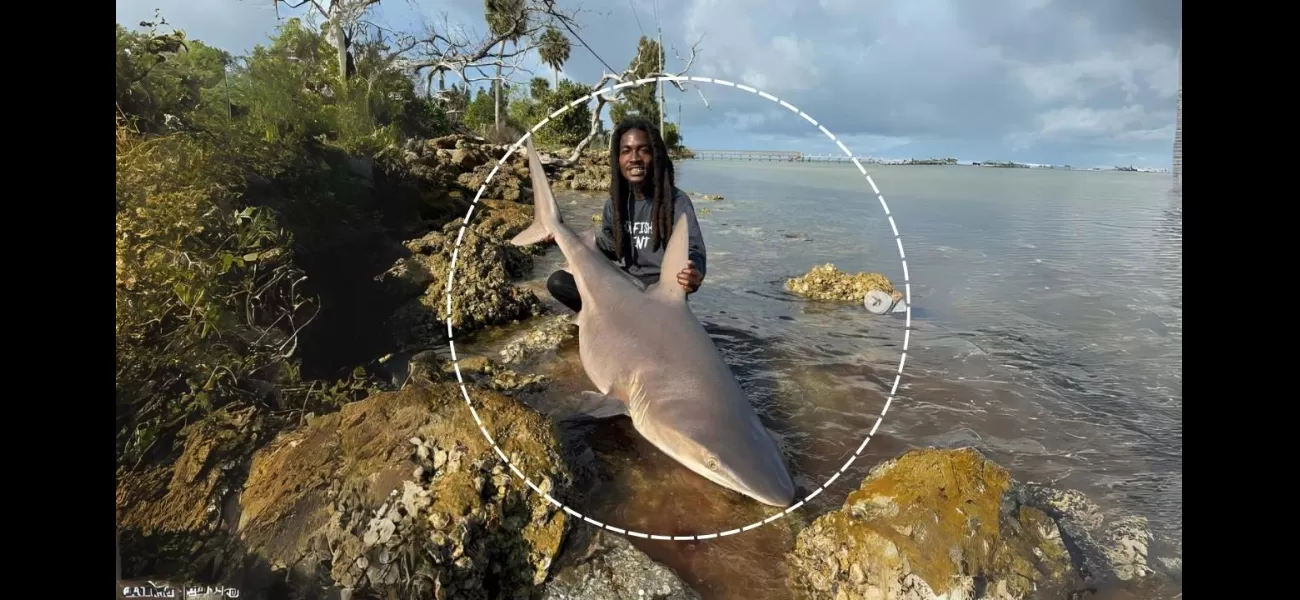 Man catches shark without tools, people online are fascinated.