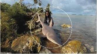 Man catches shark without tools, people online are fascinated.