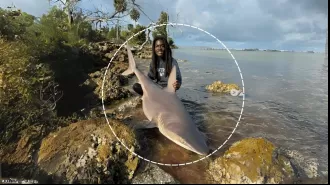 Man catches shark without tools, people online are fascinated.