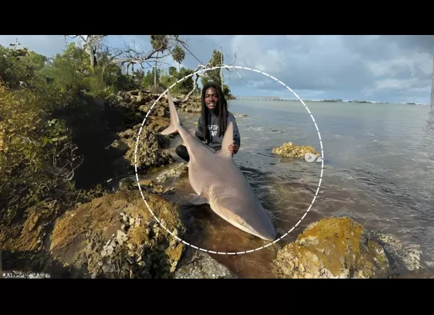 Man catches shark without tools, people online are fascinated.