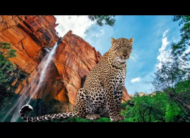 Bannerghatta Biological Park in Bengaluru is soon opening India's largest leopard safari.