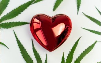 Dr. Jannah Rasul incorporates cannabis into health coaching.