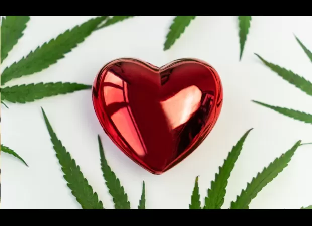 Dr. Jannah Rasul incorporates cannabis into health coaching.