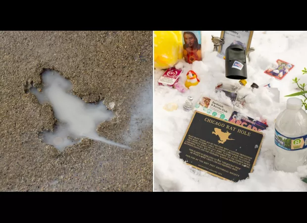 Chicago city removes and keeps well-known 'rat hole' in pavement.