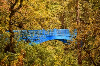 A collection of pictures showcasing the rich culture and natural beauty of Dundee.