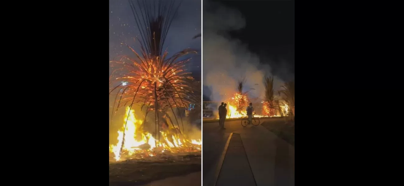 Melbourne's palm trees, which are well-known and easily recognizable, are burning on the city's coastline.