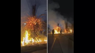 Melbourne's palm trees, which are well-known and easily recognizable, are burning on the city's coastline.