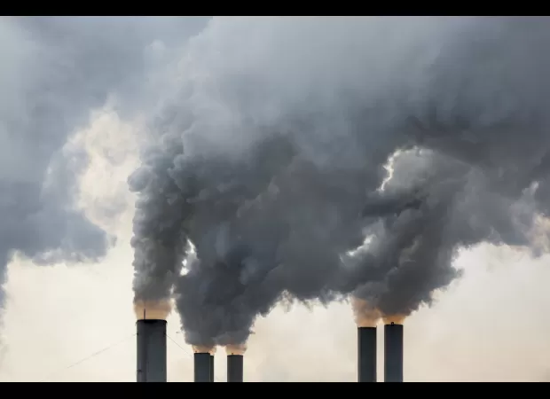 Researchers discover new material that can take in carbon at a faster rate than trees, potentially helping combat climate change.