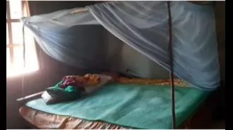 Odisha has requested the central government to provide 1.56 crore mosquito nets.