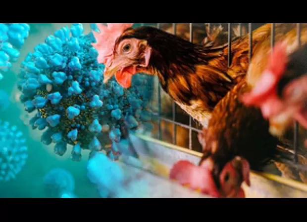 Are humans in danger of contracting bird flu?