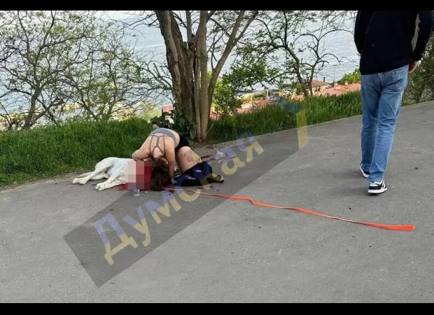 Putin destroys 'Harry Potter' castle with missiles.