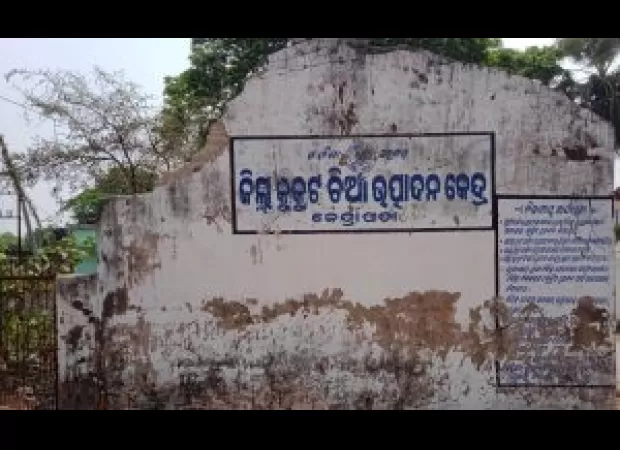 Poultry industry in Kendrapara, Odisha is facing chaos.