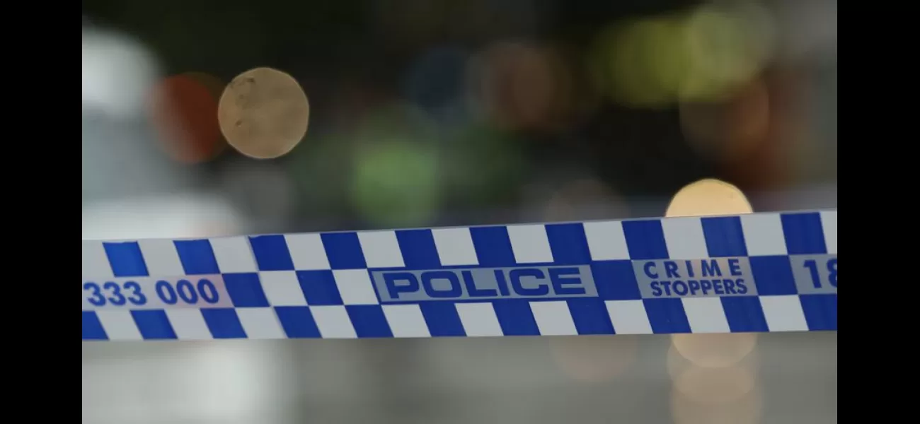 Two male suspects arrested for attacking a woman and man with a shovel in NSW.