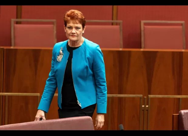 Court hears Pauline Hanson's tweet was considered a highly racist statement.