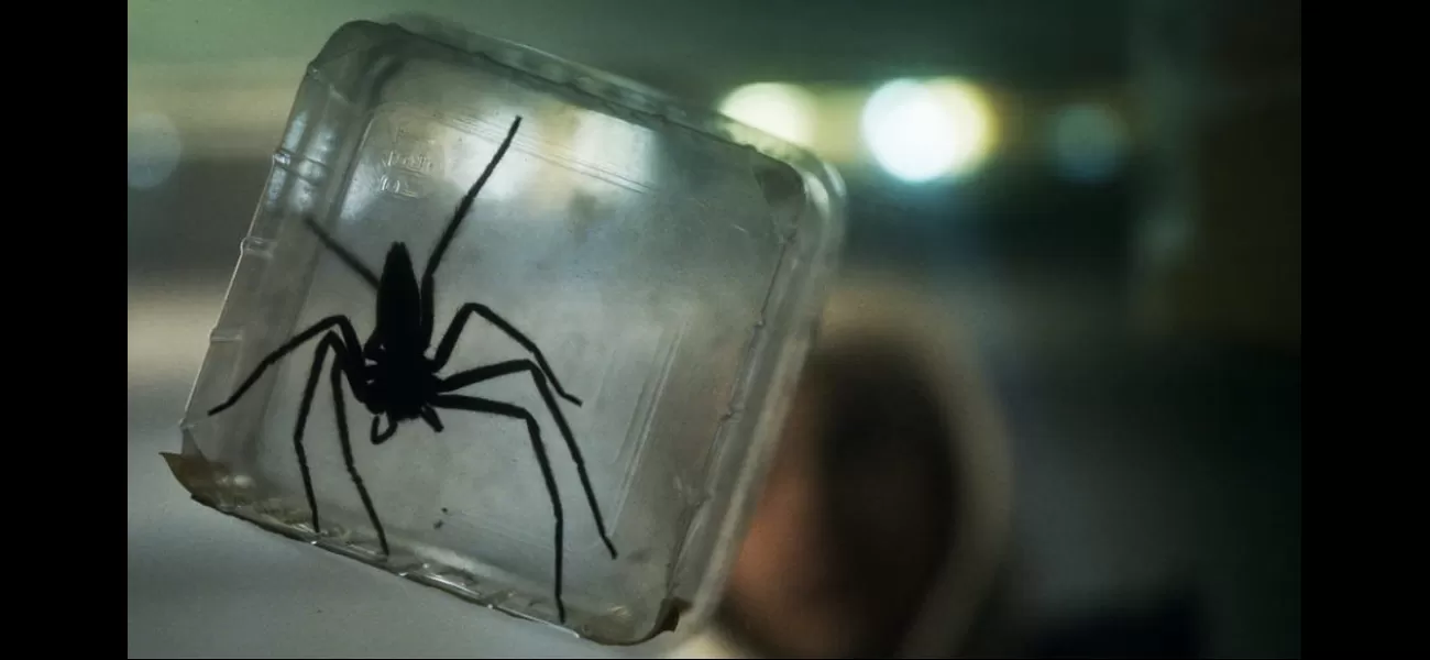 Creepy spider horror on Prime Video gets the thumbs up from Stephen King, with a gross and scary vibe.